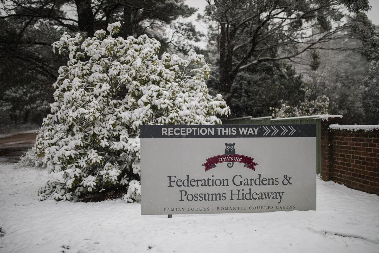 Вилла Federation Gardens & Possums Hideaway Блэкхит Экстерьер фото