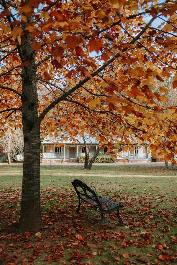 Вилла Federation Gardens & Possums Hideaway Блэкхит Экстерьер фото